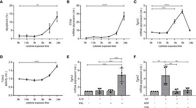 Aberrant expression of transglutaminase 2 in pancreas and thymus of NOD mice underscores the importance of deamidation in neoantigen generation